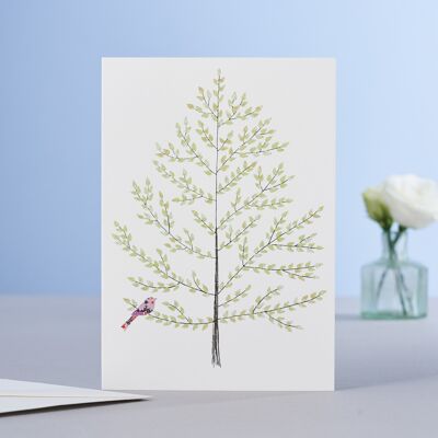 Beech Tree Card