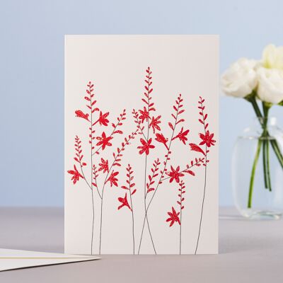 Crocosmia Card