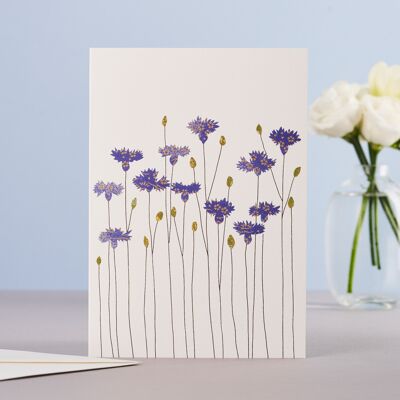 Cornflowers Card