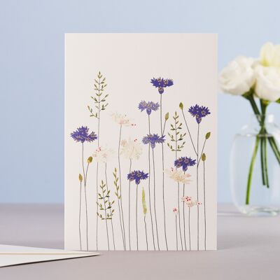 Carte Bleuets et marguerites