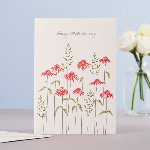 Mothers Day Echiancea Card