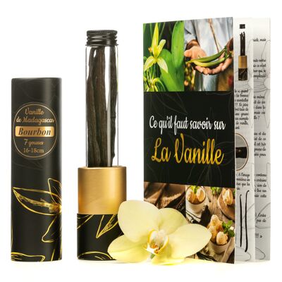 7 Gousses De Vanille – Tube Conservation En Verre – Livret Inclus