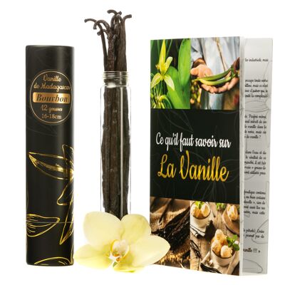 12 Vanilla Beans - Glass Storage Tube - Booklet Included