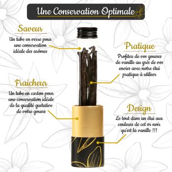 12 Gousses De Vanille – Tube Conservation En Verre – Livret Inclus 5