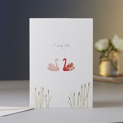 Swans I Love You Card