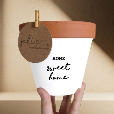 Flower pot, cachepot "Home Sweet Home"