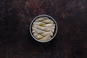 Petites sardines à l'huile d'olive 10/14 pièces 8