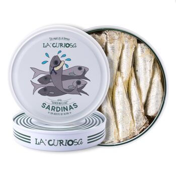 Petites sardines à l'huile d'olive 10/14 pièces 1