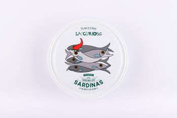 Petites sardines à l'huile d'olive épicée 10/14 pièces 4