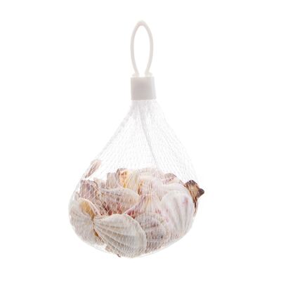 Decorative shell（Thick flower scallops）3-4CM