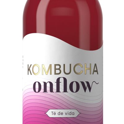 BETTERAVES ET MANGUES KOMBUCHA 1 L