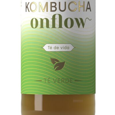KOMBUCHA GREEN TEA 1 L