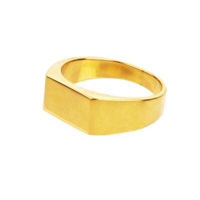 Patrona Ring Gold - 56