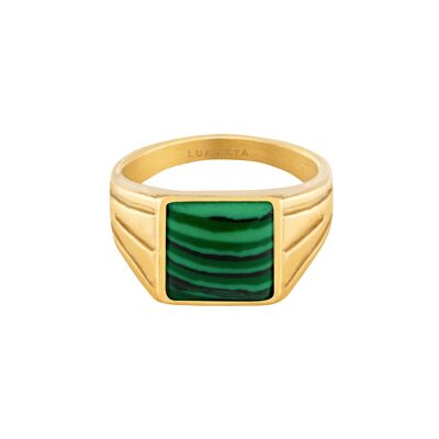 Malaquita Ring Gold - 56