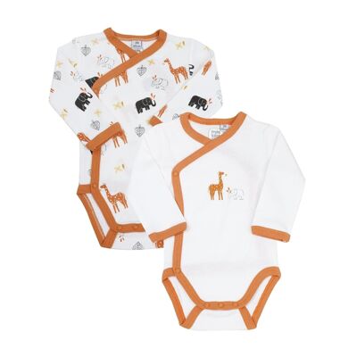 SET AUS 2 CLAY BODYS ML - 0M-Orange