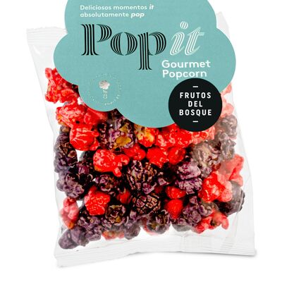 SAC SINGULIER 70G FRUITS DES BOIS