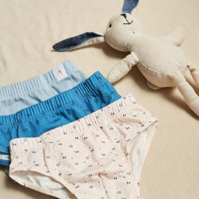 Pack 3 Briefs for Boys - Boy's underwear - Pack 3 LANDSCAPE slips - Boy's underwear