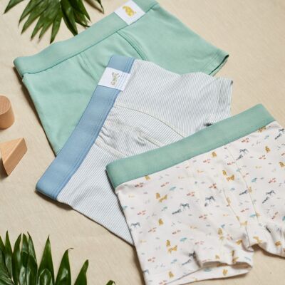 3er-Pack Boxershorts für Jungen - Jungenunterwäsche - 3er-Pack Boxershorts SAFARI - Jungenunterwäsche