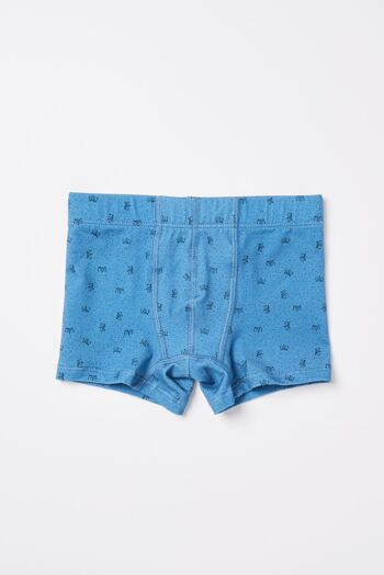 Pack 3 Boxers Garçon - Sous-vêtements garçon - Pack 3 boxers PAYSAGE - Sous-vêtements garçon 5