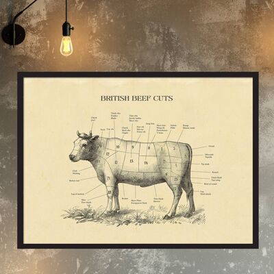 BRITISH Stampa di mucca tagliata di manzo, grafico del macellaio, incisione vintage A3 (bianco)
