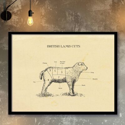 British Lamb butcher print chart, Sheep print, All sizes. A4(Aged Antique)