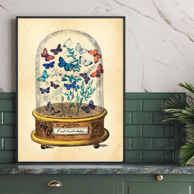 Butterflies in Bell Jar art, Vintage Etching Botanical A4(Aged Antique)