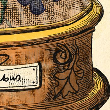 Papillons dans l'art de Bell Jar, Vintage Etching Botanical A2(Aged Antique) 4