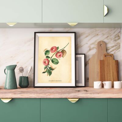 Donut Wall Art, Botanical Prints, Donut Art Print. A3(white)