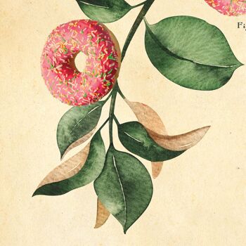 Donut Wall Art, Botanical Prints, Donut Art Print. A3 (blanc) 2