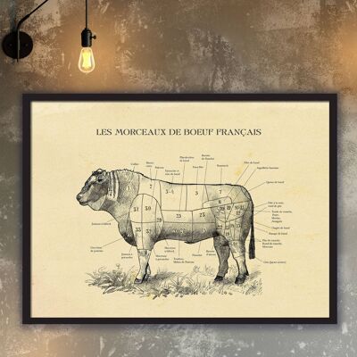 Impression FRENCH Beef Cuts - affiche de coupes de boucher vintage, All si A4 (blanc)