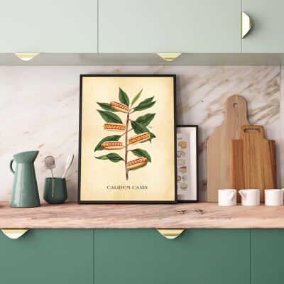 Hotdog Wall Art, Botanical Prints, Hotdog Art Print, Gallery A4(Aged Antique)