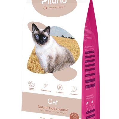 Pilano-Katze 3kg