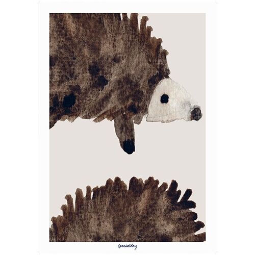 Poster - hedgehog