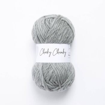 Cheeky Chunky Pelote de laine 100g 6