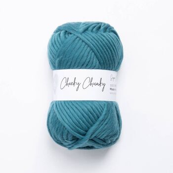 Cheeky Chunky Pelote de laine 100g 11