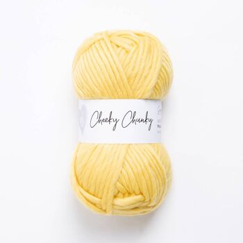 Cheeky Chunky Pelote de laine 100g 15