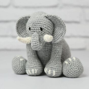 Kit de crochet d'éléphant de Roy 1