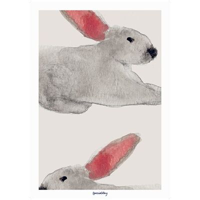 Affiche - lapin