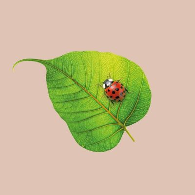 Ladybug Bamboo Napkins by chic.mic