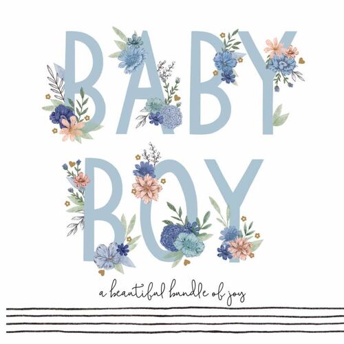 Baby Boy - Jade Mosinski