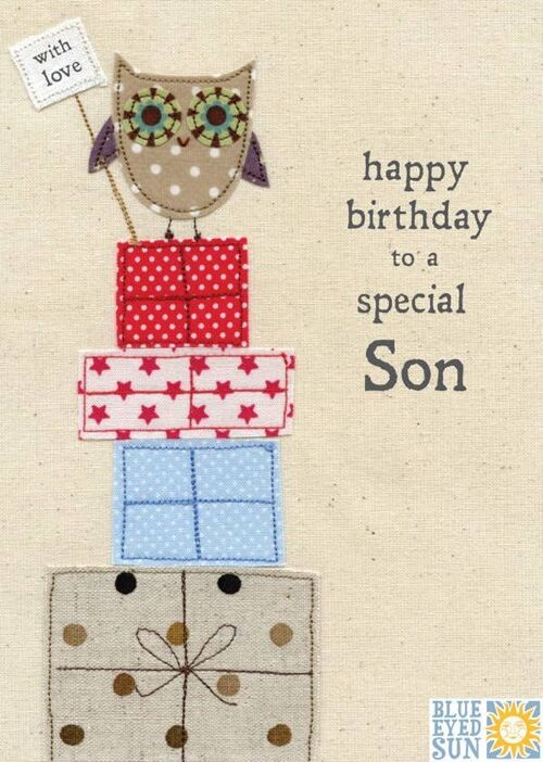 Son Birthday - Picnic Time