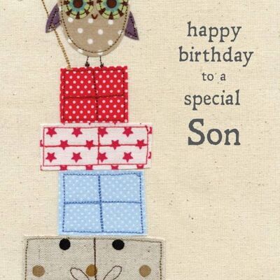 Son Birthday - Picnic Time