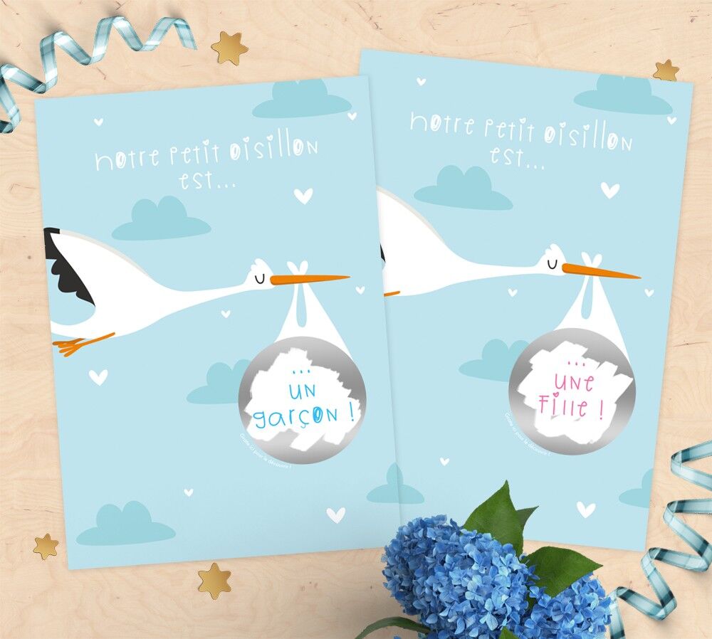 Gratta e vinci per l'annuncio del sesso del bambino - cicogna