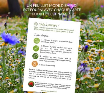 Carte à planter "Merci pour tout"  - cadeau nounou, Maîtresse, ATSEM 5