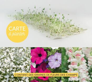 Carte à planter "Merci pour tout"  - cadeau nounou, Maîtresse, ATSEM 4