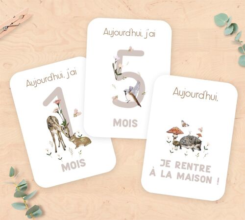 Cartes étapes de la vie de bébé - Animaux