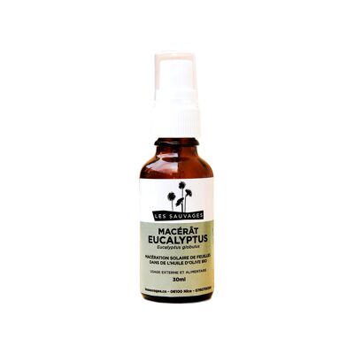 Eucalyptus globulus macerate 100ML