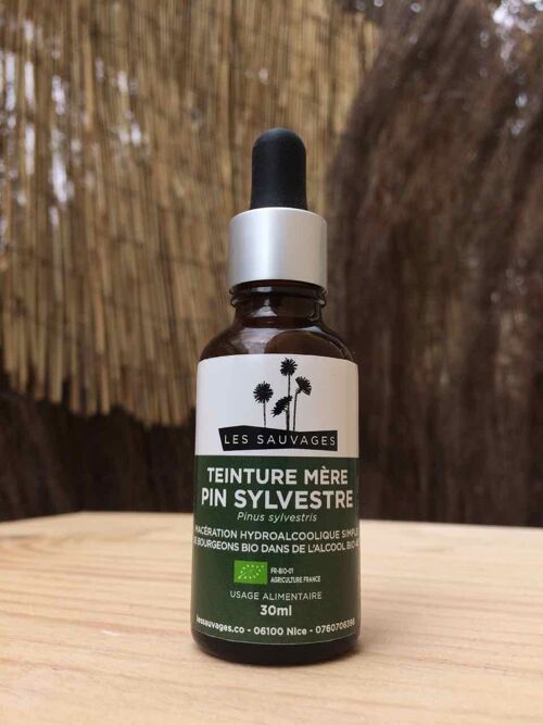 Teinture mère de pin sylvestre - 30 ml