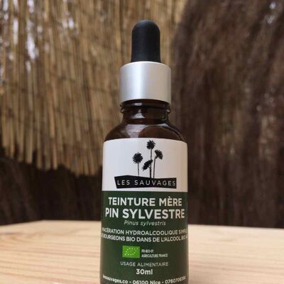 Teinture mère de pin sylvestre - 30 ml