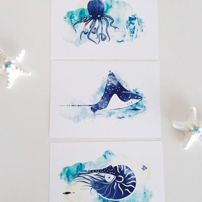 Set de 3 láminas marinas: pulpo, nautilus y mantarraya
